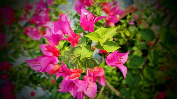 Unlocking council tax savings in wales: a complete 2023 guide to successfully challenging your tax band